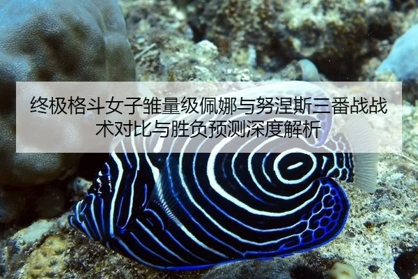 zhong-ji-ge-dou-nv-zi-chu-liang-ji-pei-na-yu-nu-nie-si-san-fan-zhan-zhan-shu-dui-bi-yu-sheng-fu-yu-ce-shen-du-jie-xi-2-255.jpg